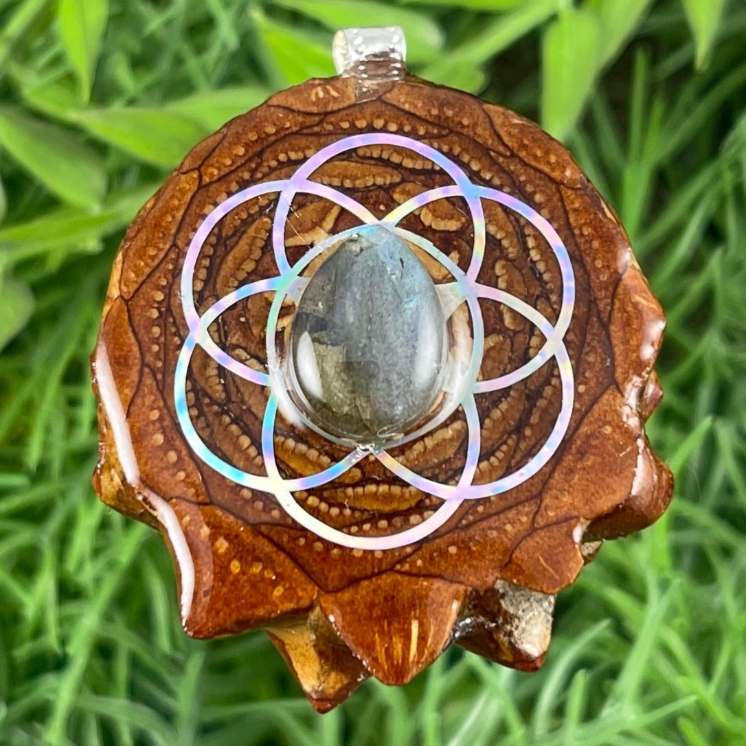 Labradorite with Seed of Life - Aura Pinecones