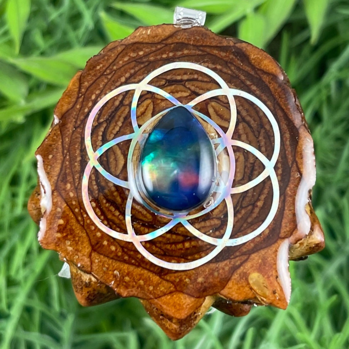 Multi Ammolite with Seed of Life