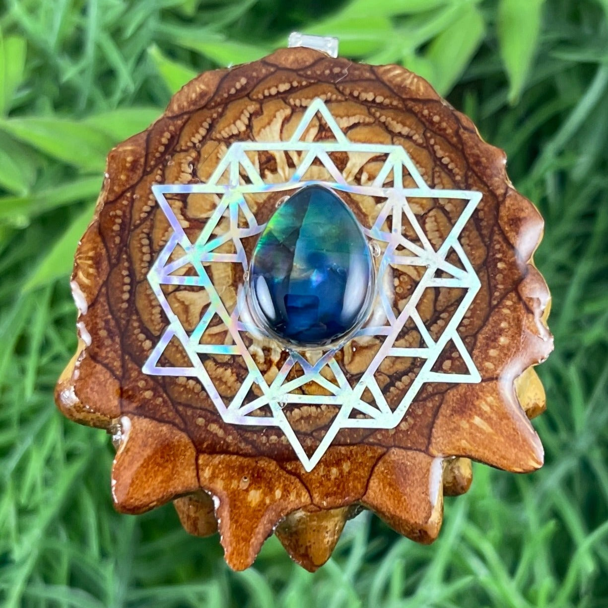 Multi Ammolite with 64 Star Turquoise - Aura Pinecones