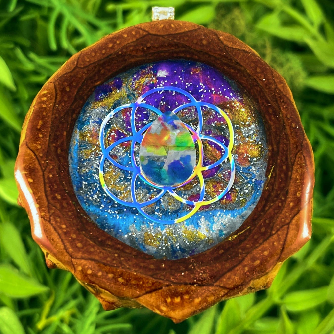 Cosmos with Multi Ammolite and Seed of Life