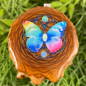 Butterfly - Aura Pinecones