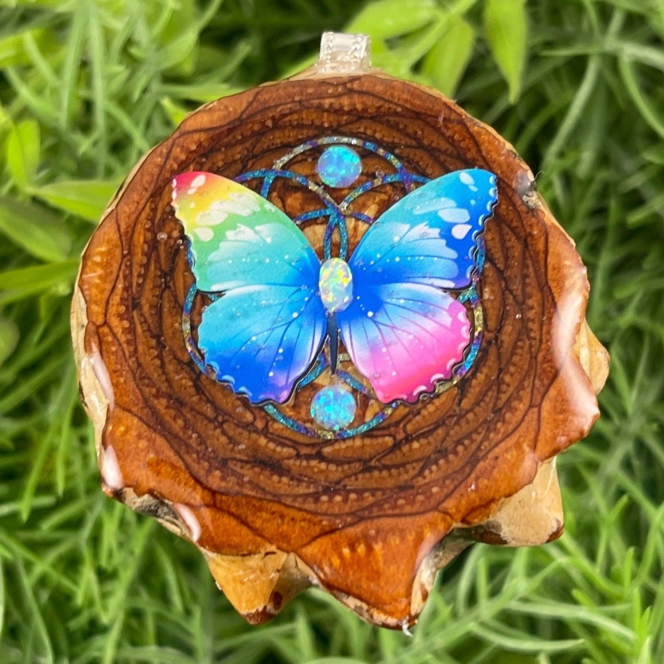 Butterfly - Aura Pinecones