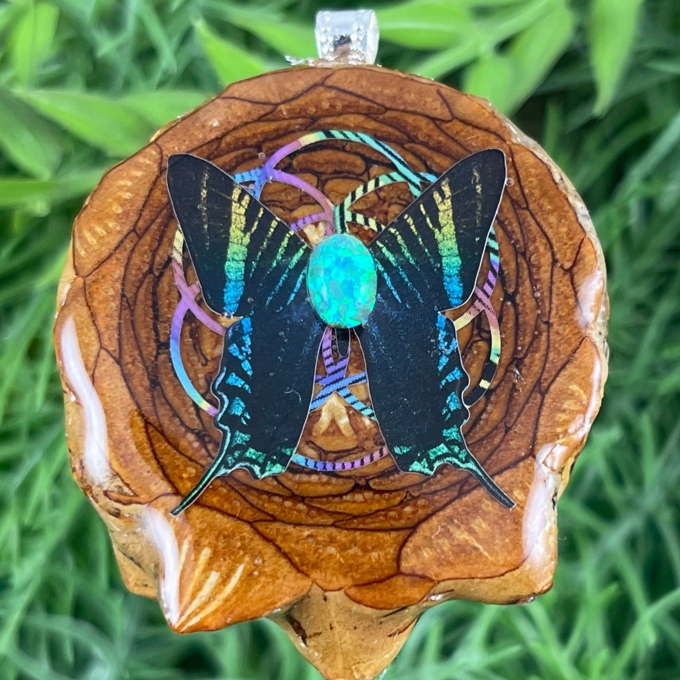 Butterfly - Aura Pinecones