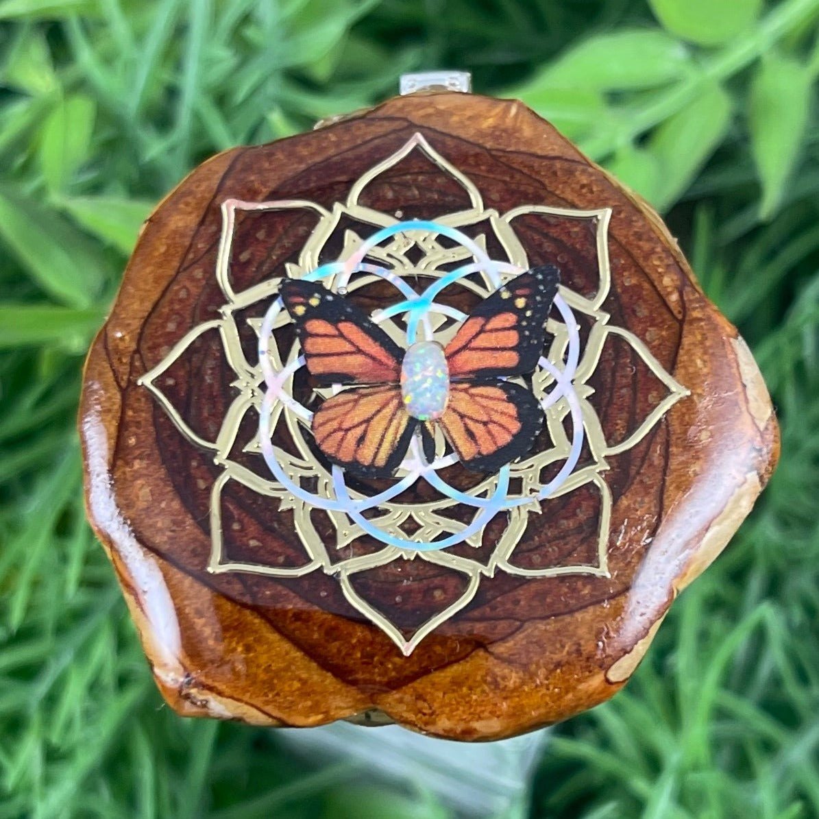 Butterfly - Aura Pinecones