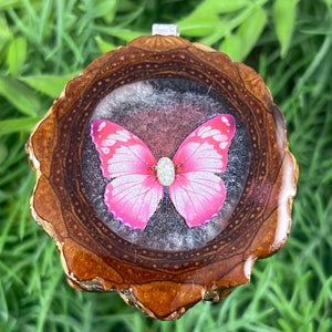 Butterfly - Aura Pinecones