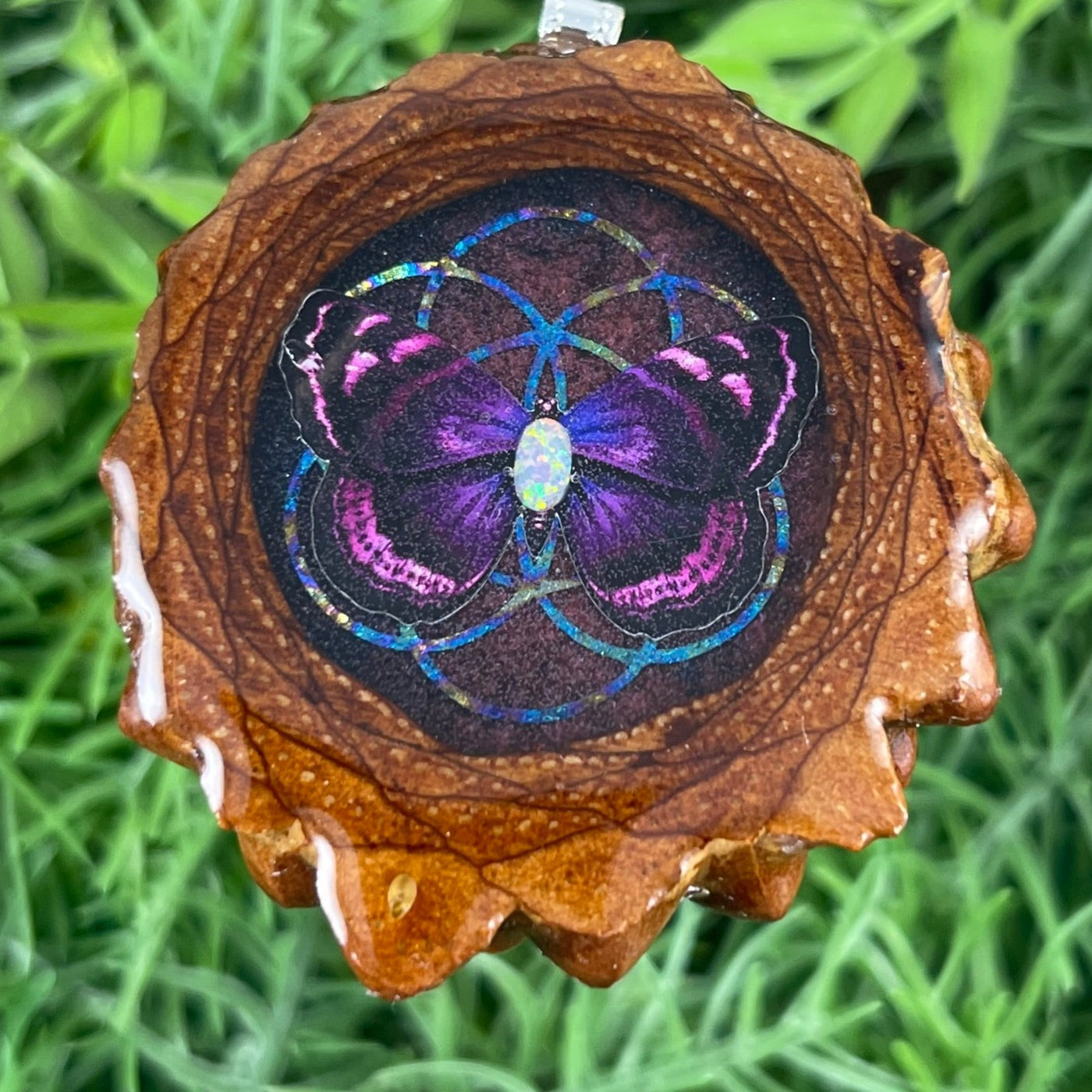 Butterfly - Aura Pinecones