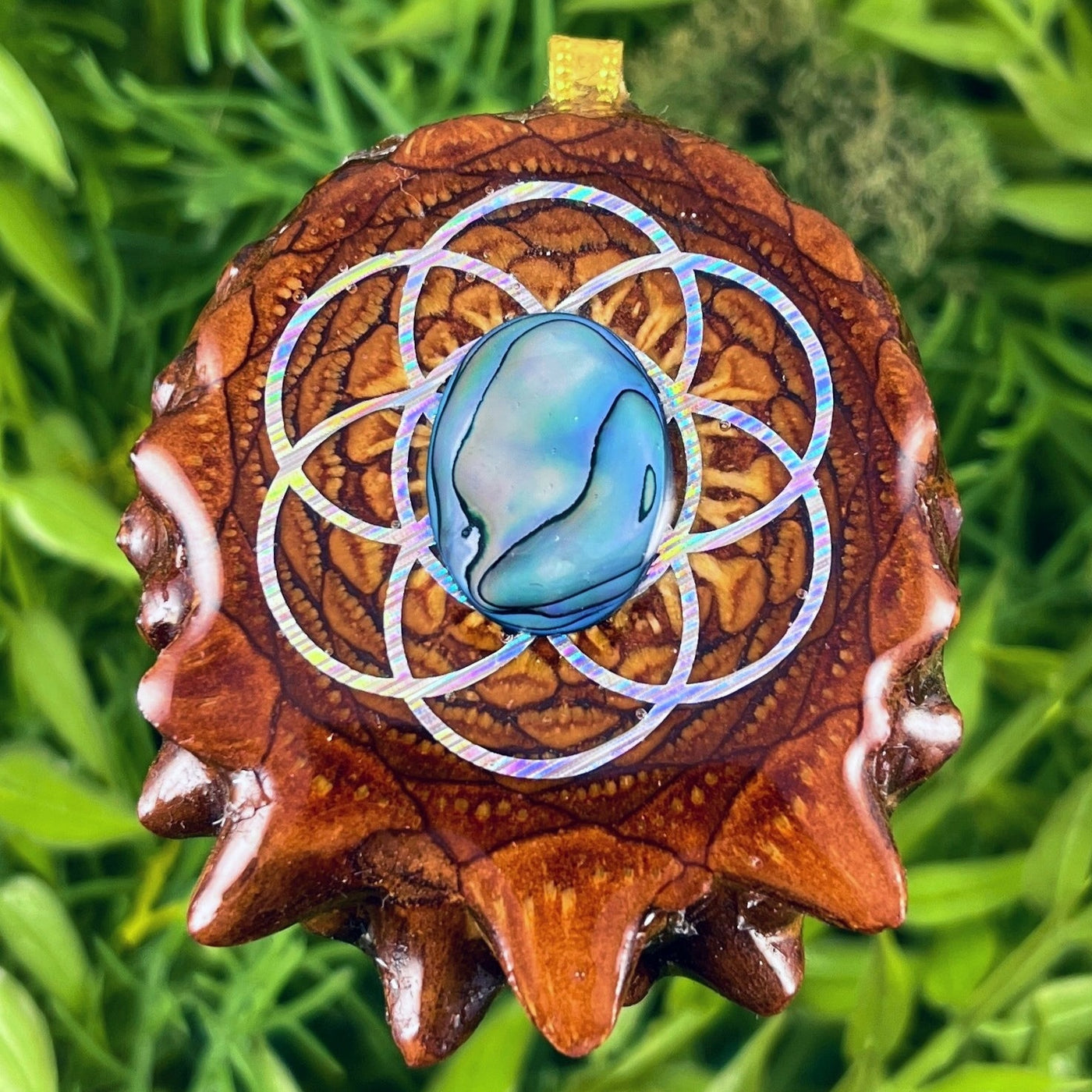 Abalone with Seed of Life