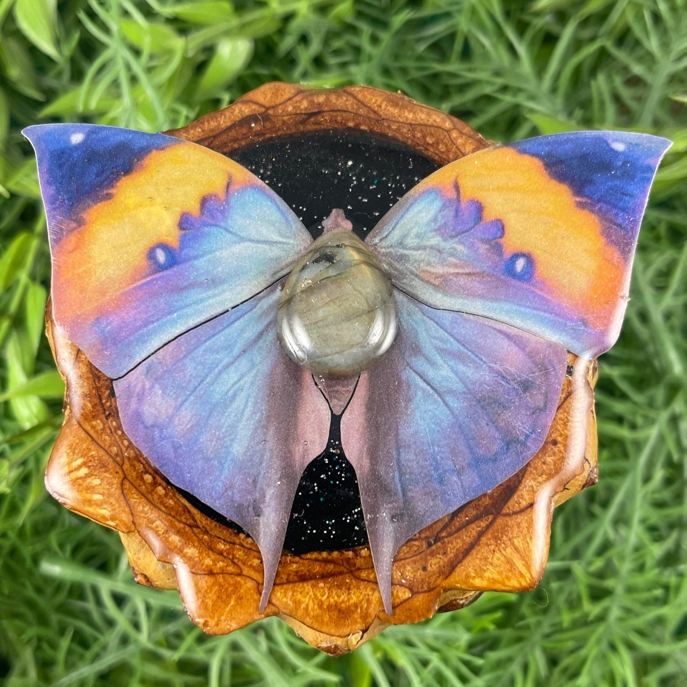 Butterfly - Aura Pinecones