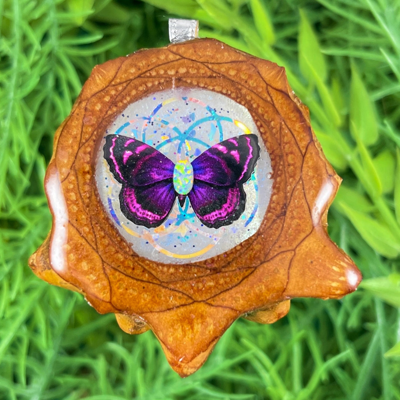 Butterfly - Aura Pinecones