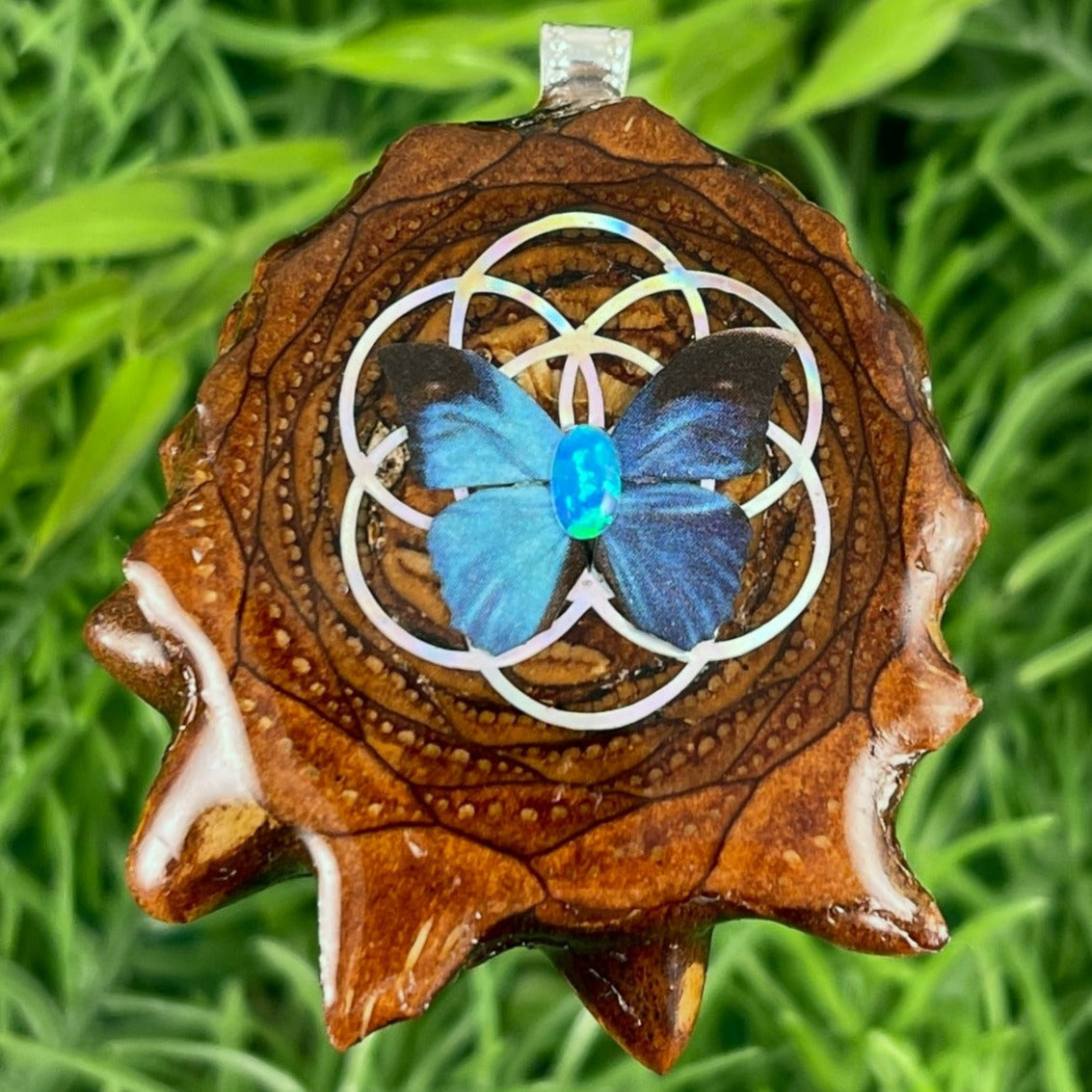 Butterfly - Aura Pinecones