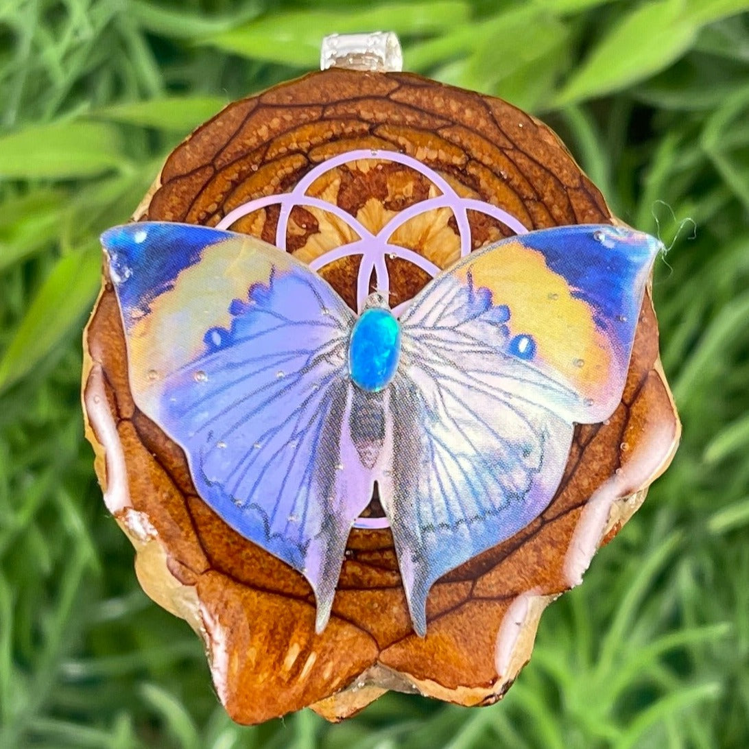 Butterfly - Aura Pinecones