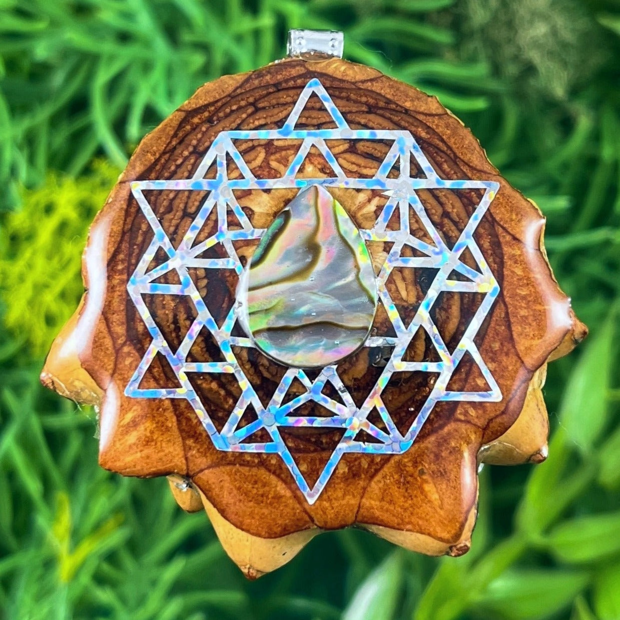 Abalone with 64 Star Tetrahedron