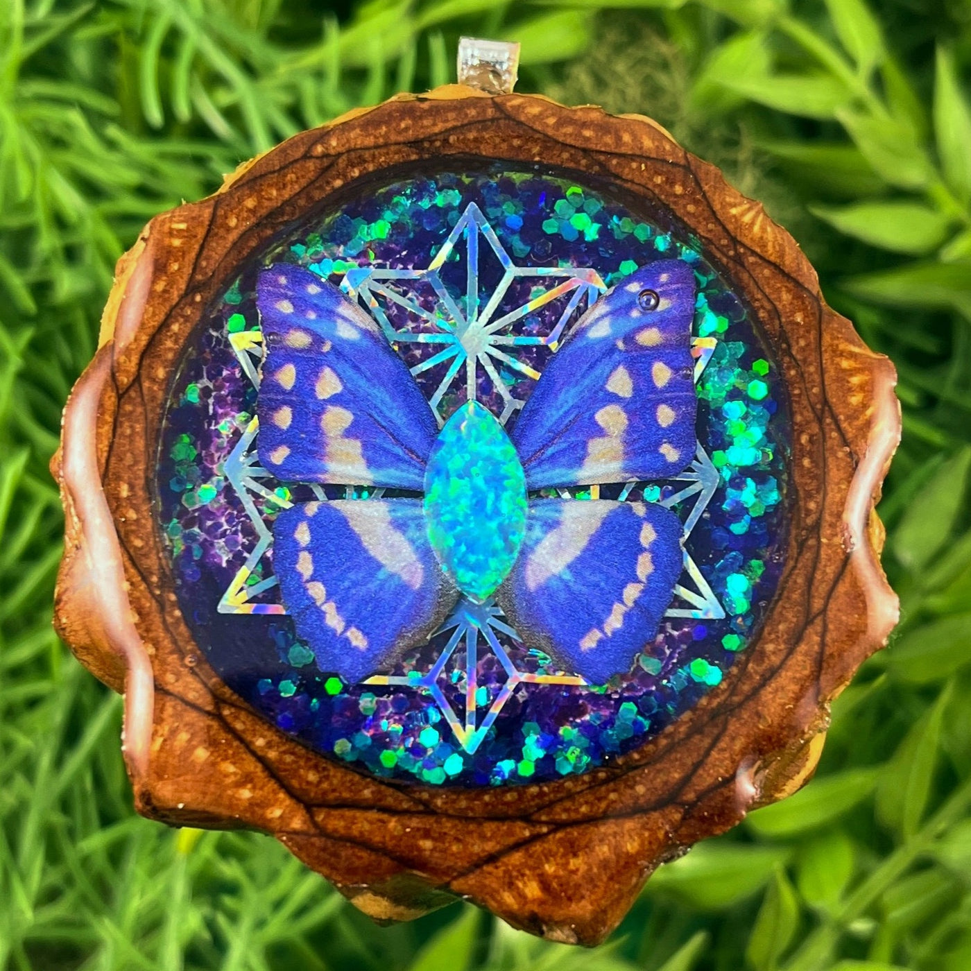 Cosmos with Butterfly with Opal and Asanoha