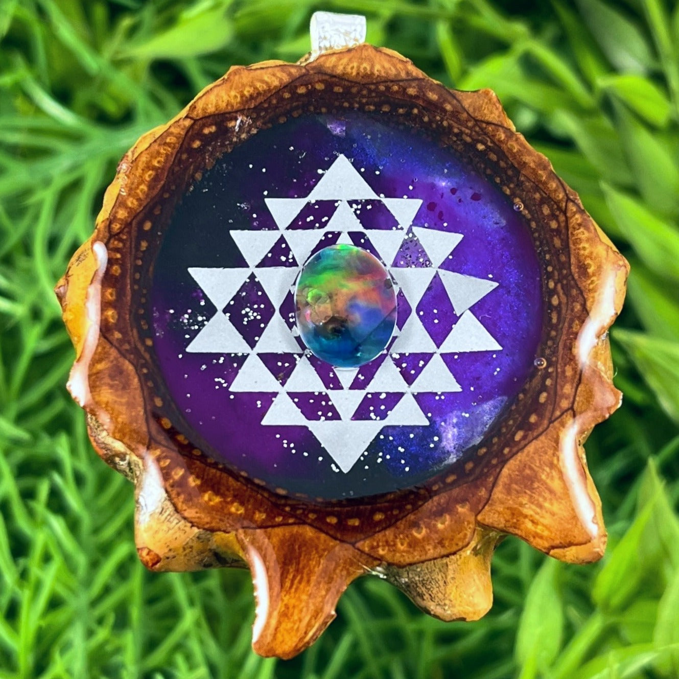 Galaxy and Multi Ammolite with Sri Yantra