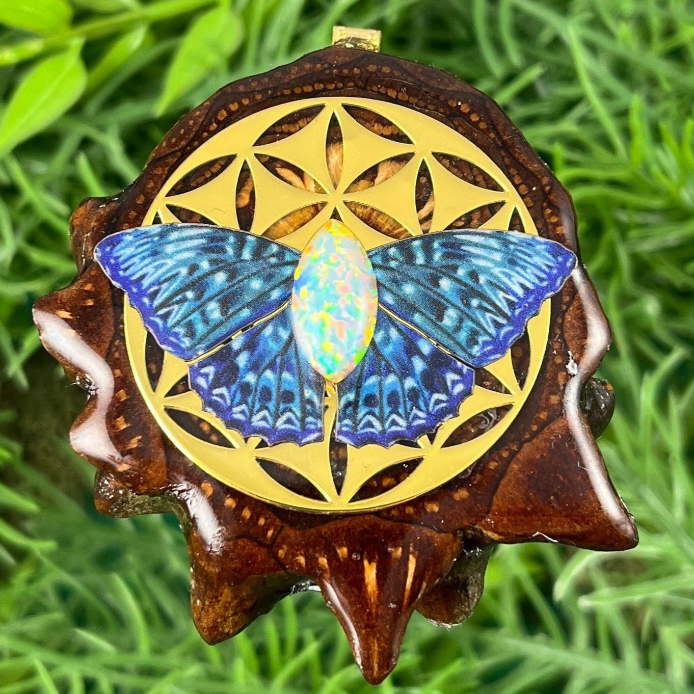 Butterfly - Aura Pinecones