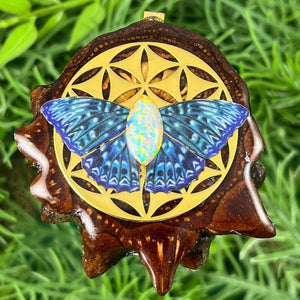 Butterfly - Aura Pinecones