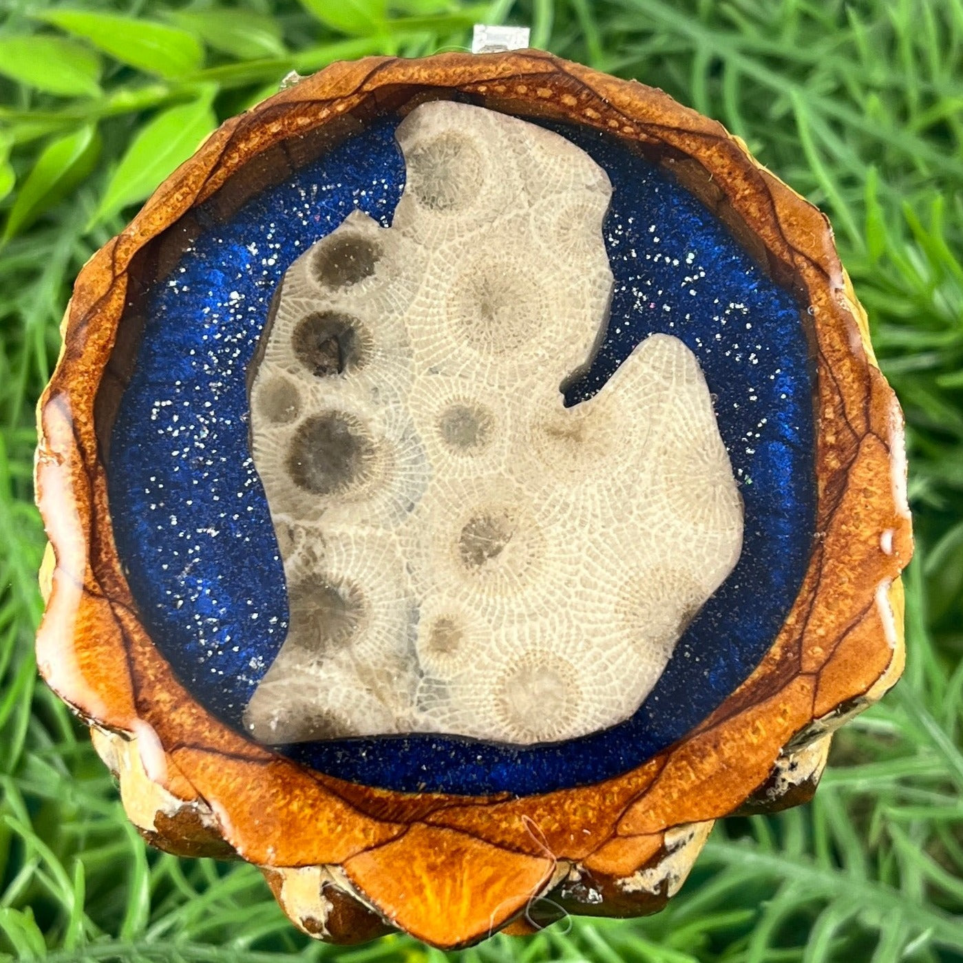 Michigan Petoskey Gemstone