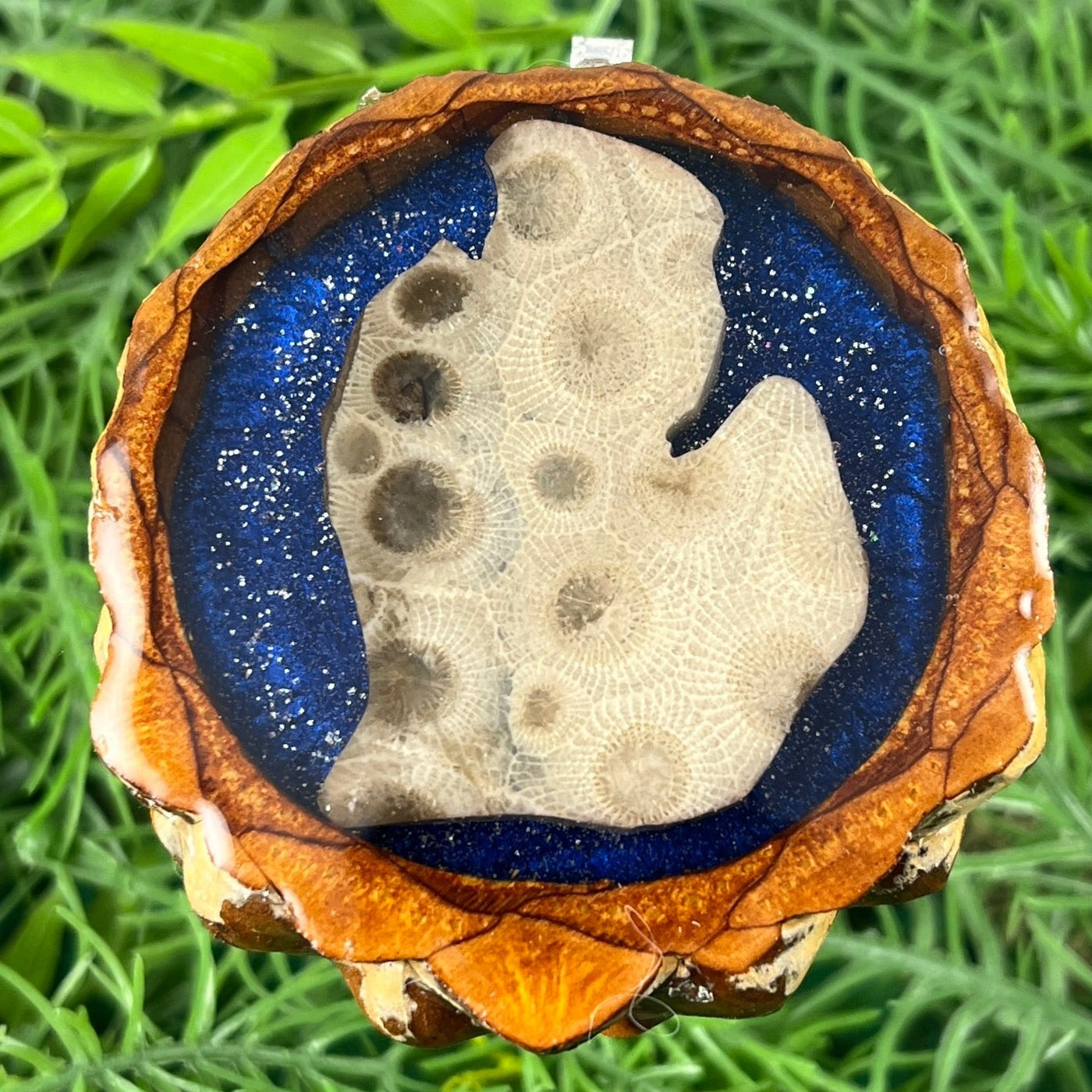 Michigan Petoskey Gemstone