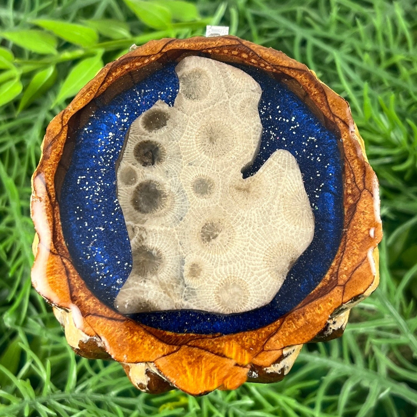 Michigan Petoskey Gemstone