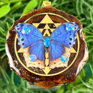 Butterfly - Aura Pinecones