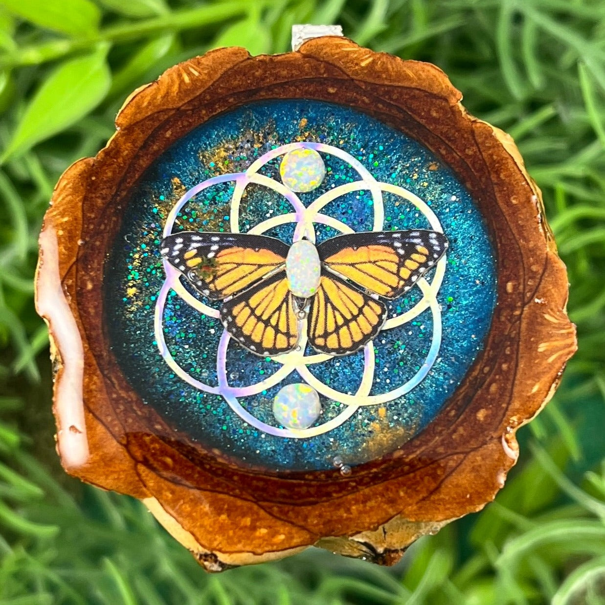 Butterfly - Aura Pinecones