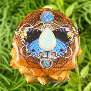Opal & Dragonfly with Mandala - Aura Pinecones
