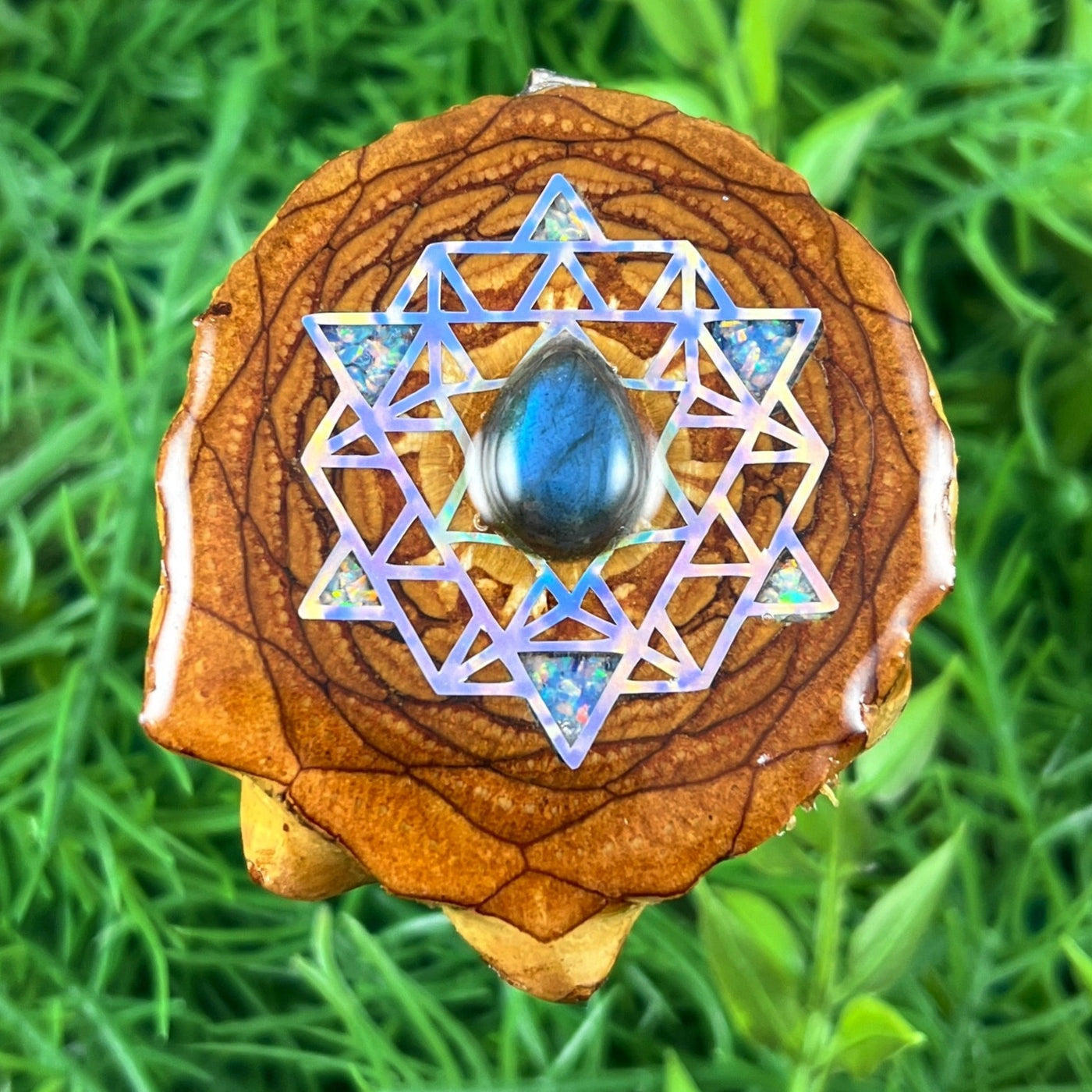 Labradorite with Crushed Opal & 64 Star Tetrahedron - Aura Pinecones