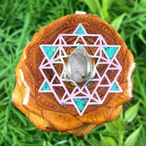 Labradorite with Crushed Opal & 64 Star Tetrahedron - Aura Pinecones