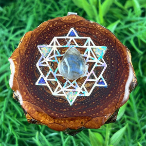 Labradorite with Crushed Opal & 64 Star Tetrahedron - Aura Pinecones