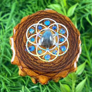 Labradorite with Crushed Opal & Seed of Life - Aura Pinecones