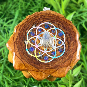 Labradorite with Crushed Opal & Seed of Life - Aura Pinecones