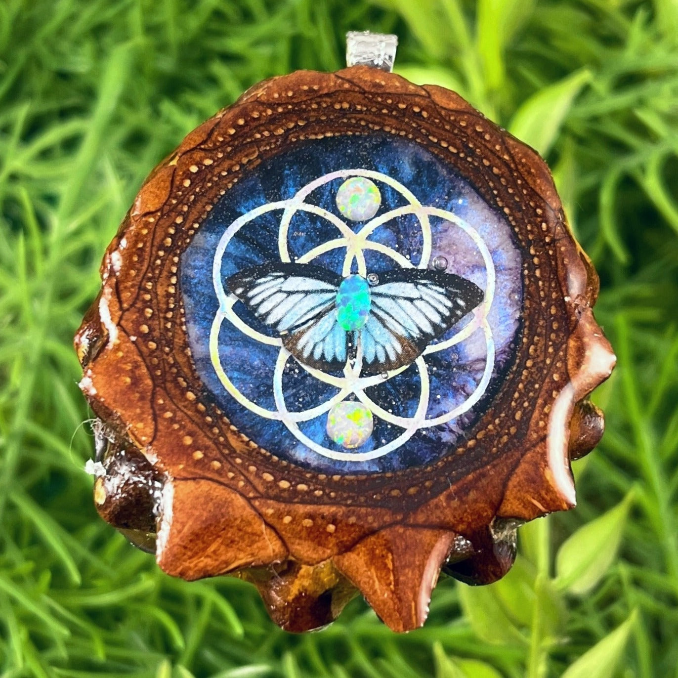 Night Sky with Opal & Butterfly with Seed of Life - Aura Pinecones