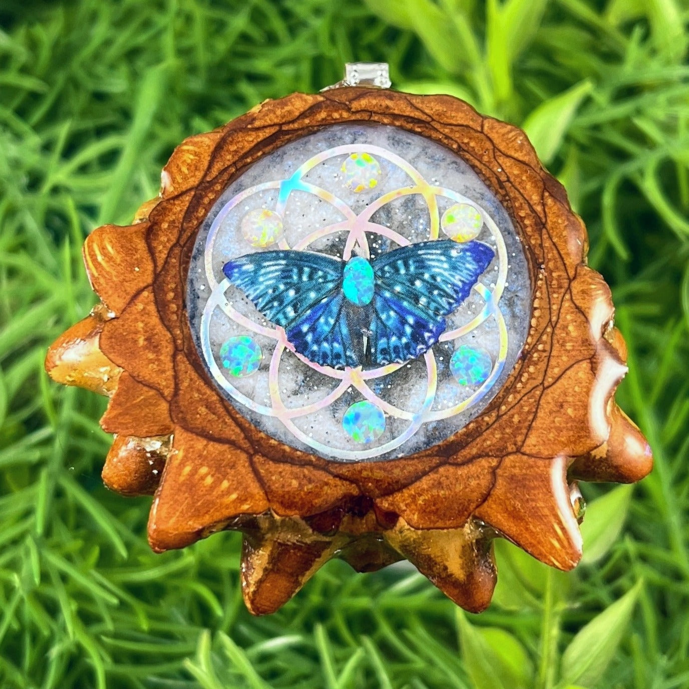 Galaxy with Opal & Butterfly with Seed of Life - Aura Pinecones