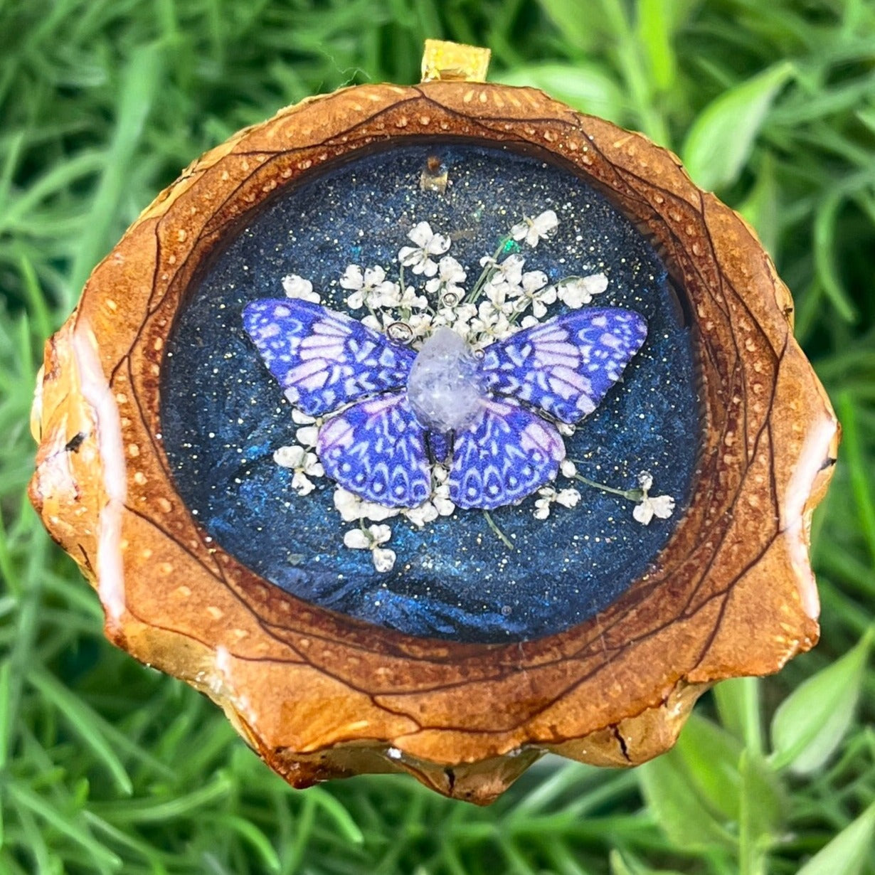 Butterfly - Aura Pinecones