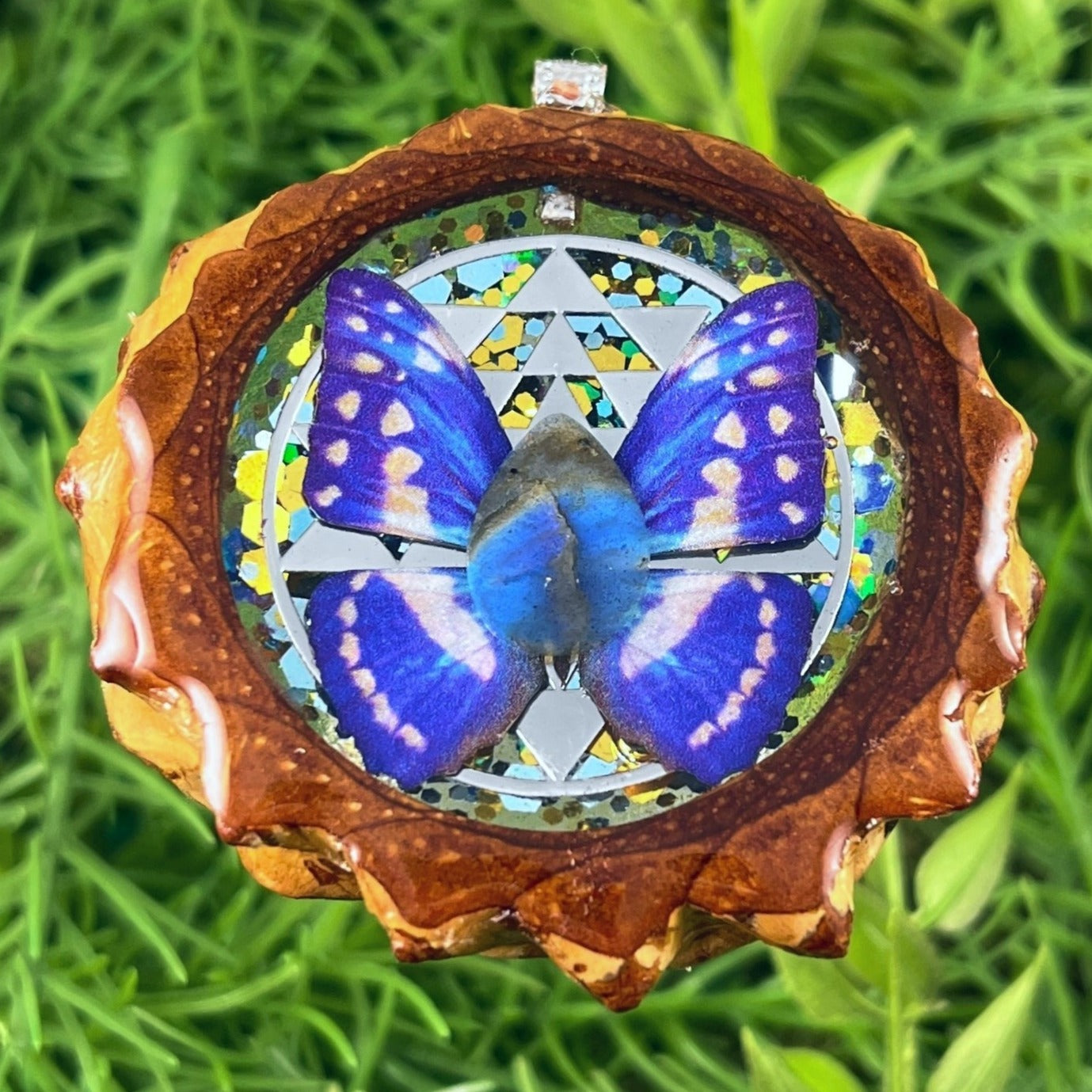 Butterfly - Aura Pinecones