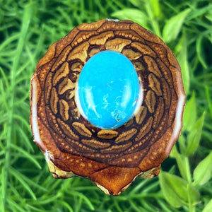 Turquoise - Aura Pinecones