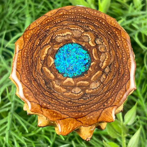 Crushed Opal - Aura Pinecones