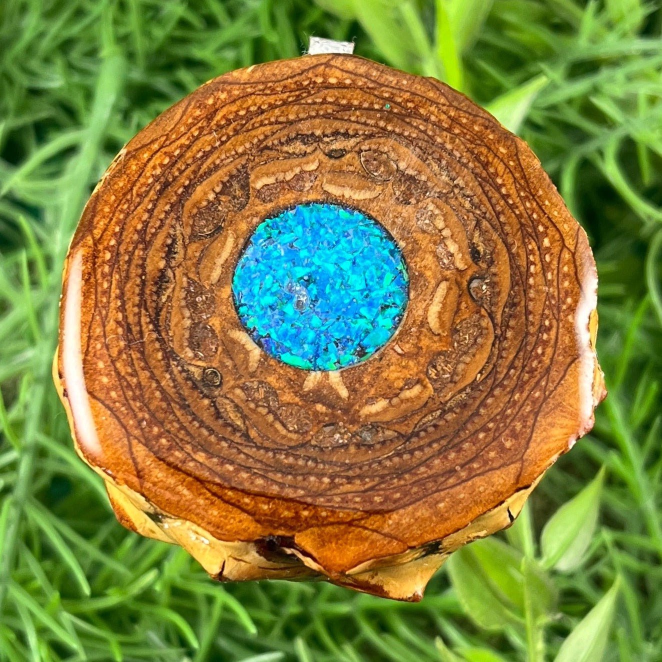 Crushed Opal - Aura Pinecones