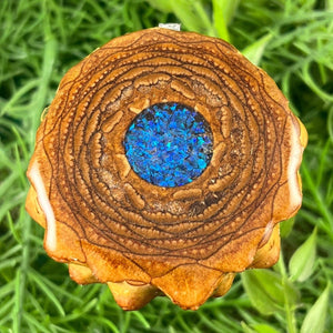 Crushed Opal - Aura Pinecones