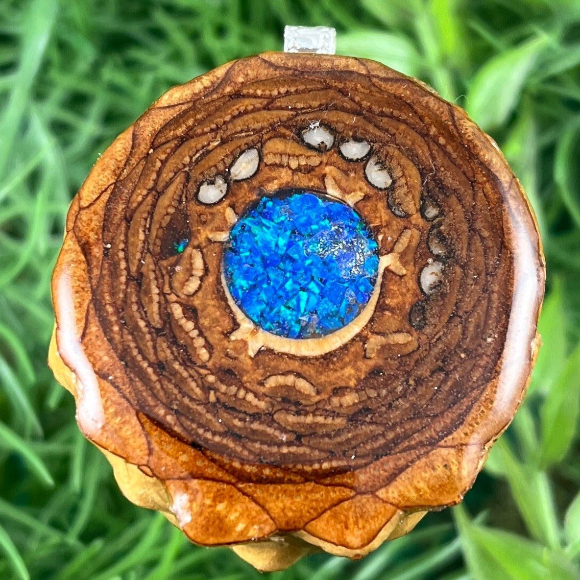 Crushed Opal - Aura Pinecones