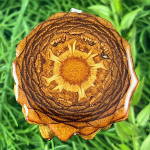 Natural - Aura Pinecones