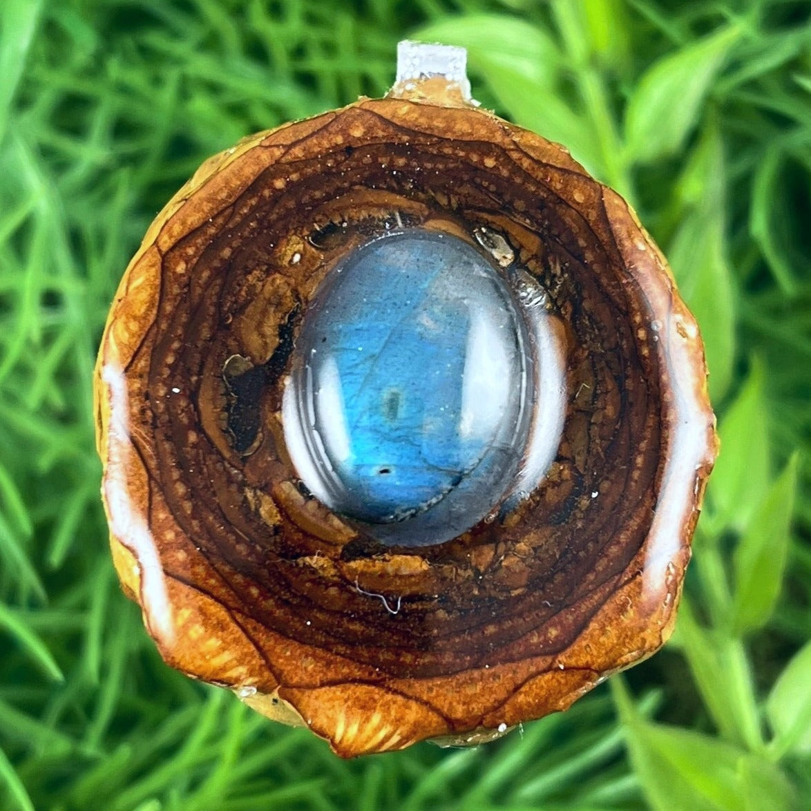 Labradorite