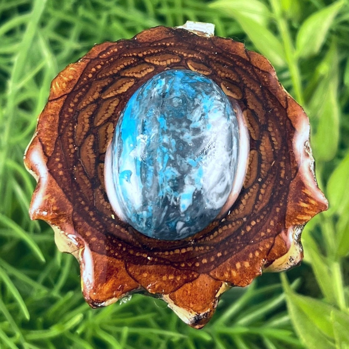 Turquoise - Aura Pinecones