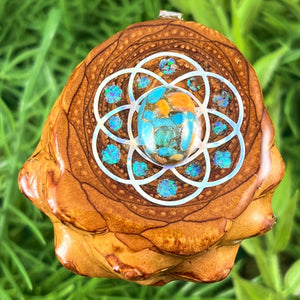 Spiny Oyster Turquoise with Crushed Opal & Seed of Life - Aura Pinecones