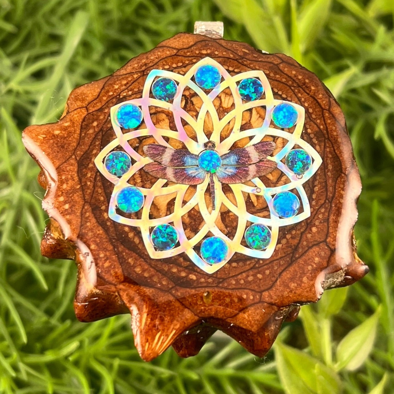 Butterfly - Aura Pinecones