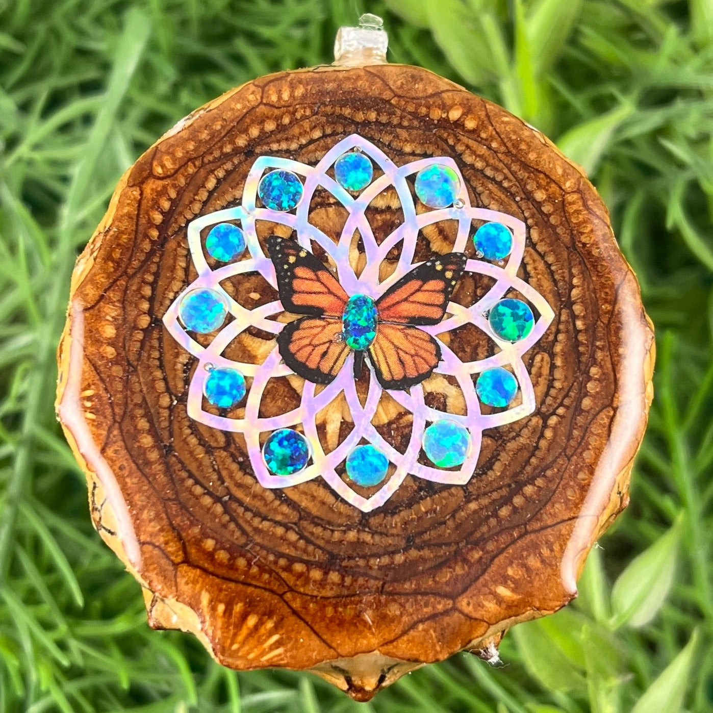 Butterfly - Aura Pinecones