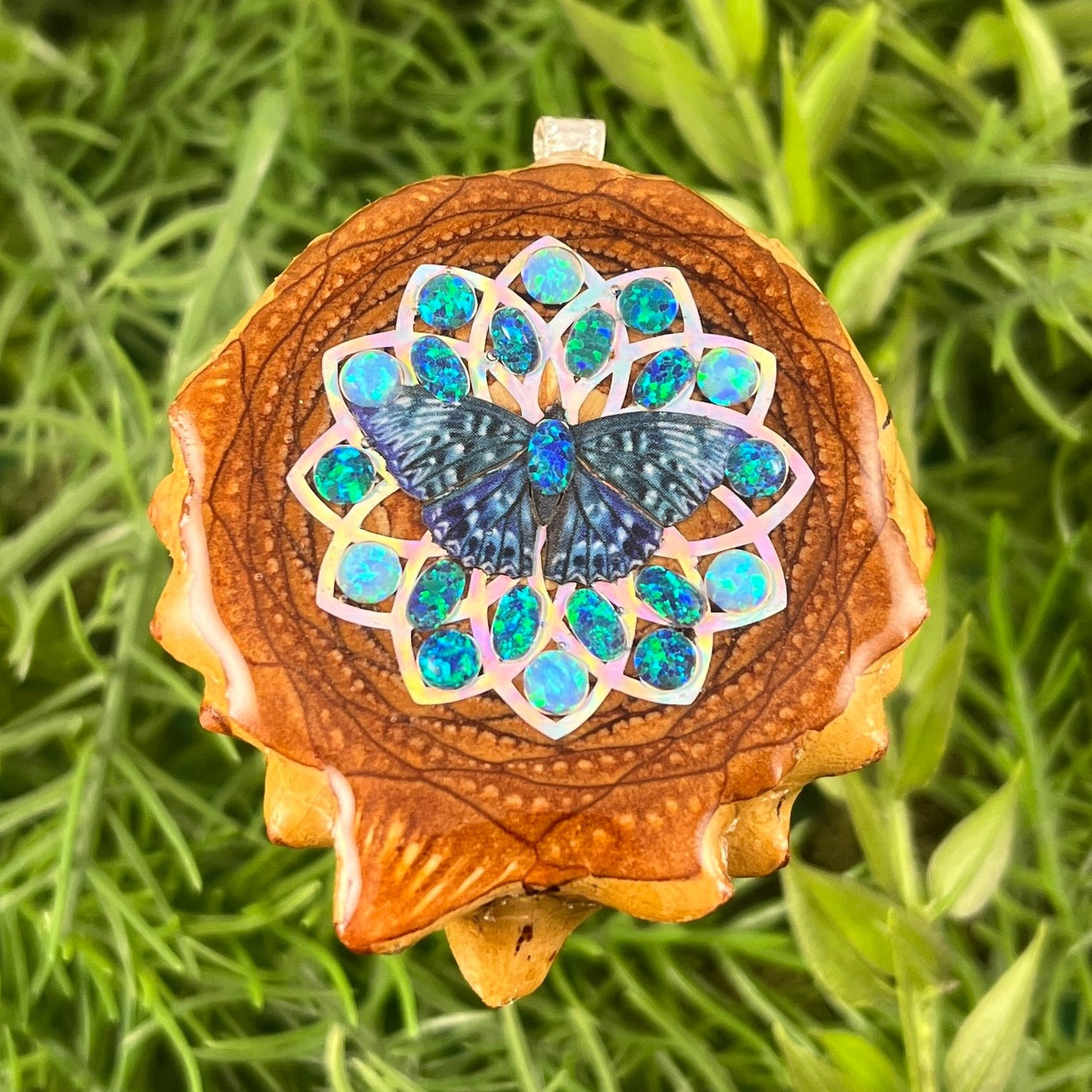 Copy of Butterfly - Aura Pinecones