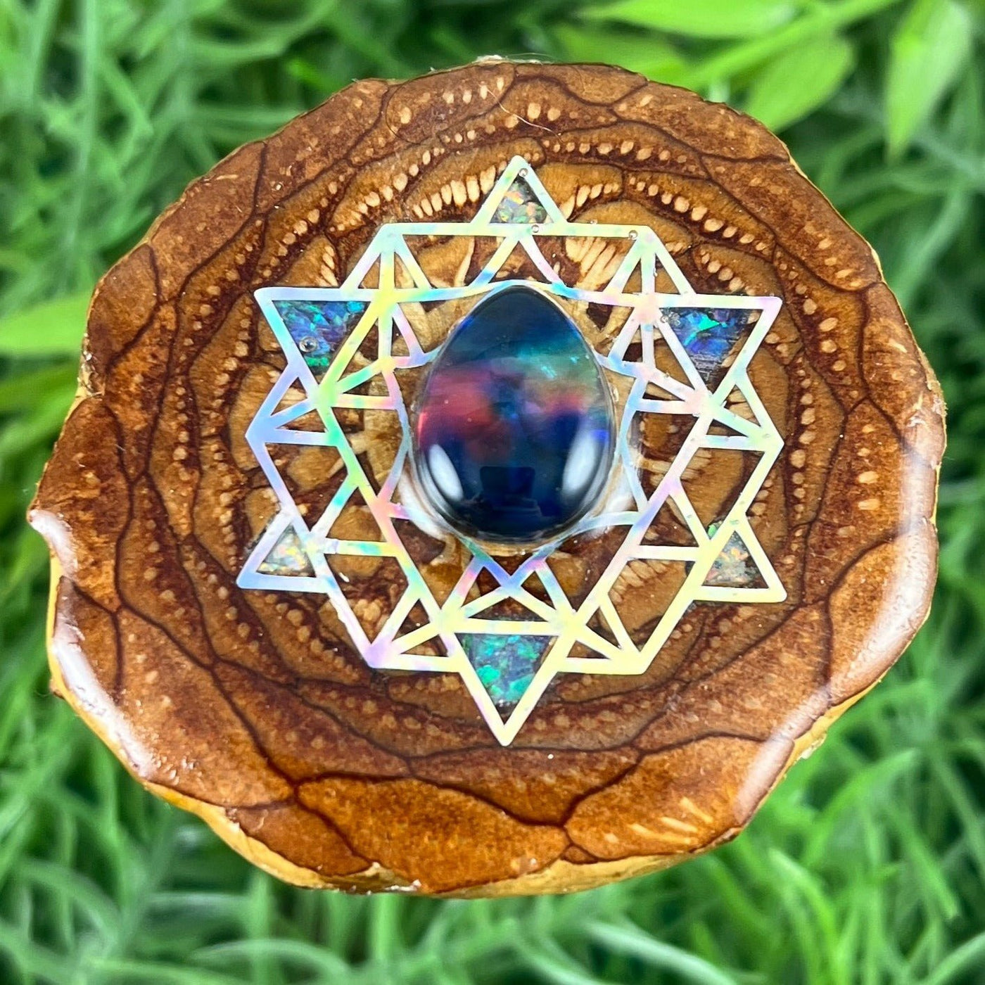 Multi Ammolite & Crushed Opal with 64 Star Tetrahedron - Aura Pinecones