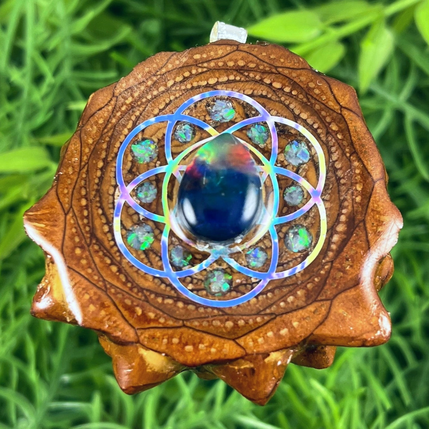 Multi Ammolite & Crushed Opal with Seed of Life - Aura Pinecones