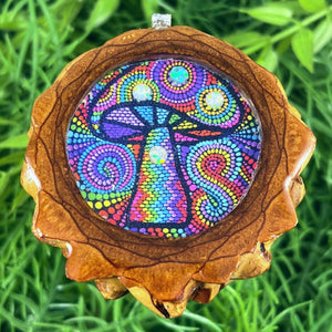 Rainbow Naturescape - Aura Pinecones